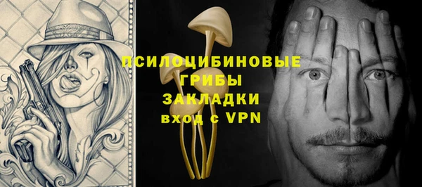 гидра Балахна