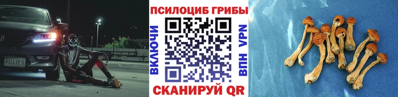 Псилоцибиновые грибы прущие грибы  Белозерск 